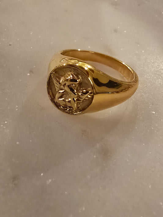 Angel Ring