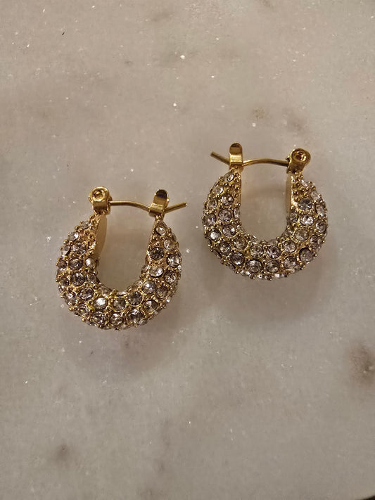 Sparkly Earrings