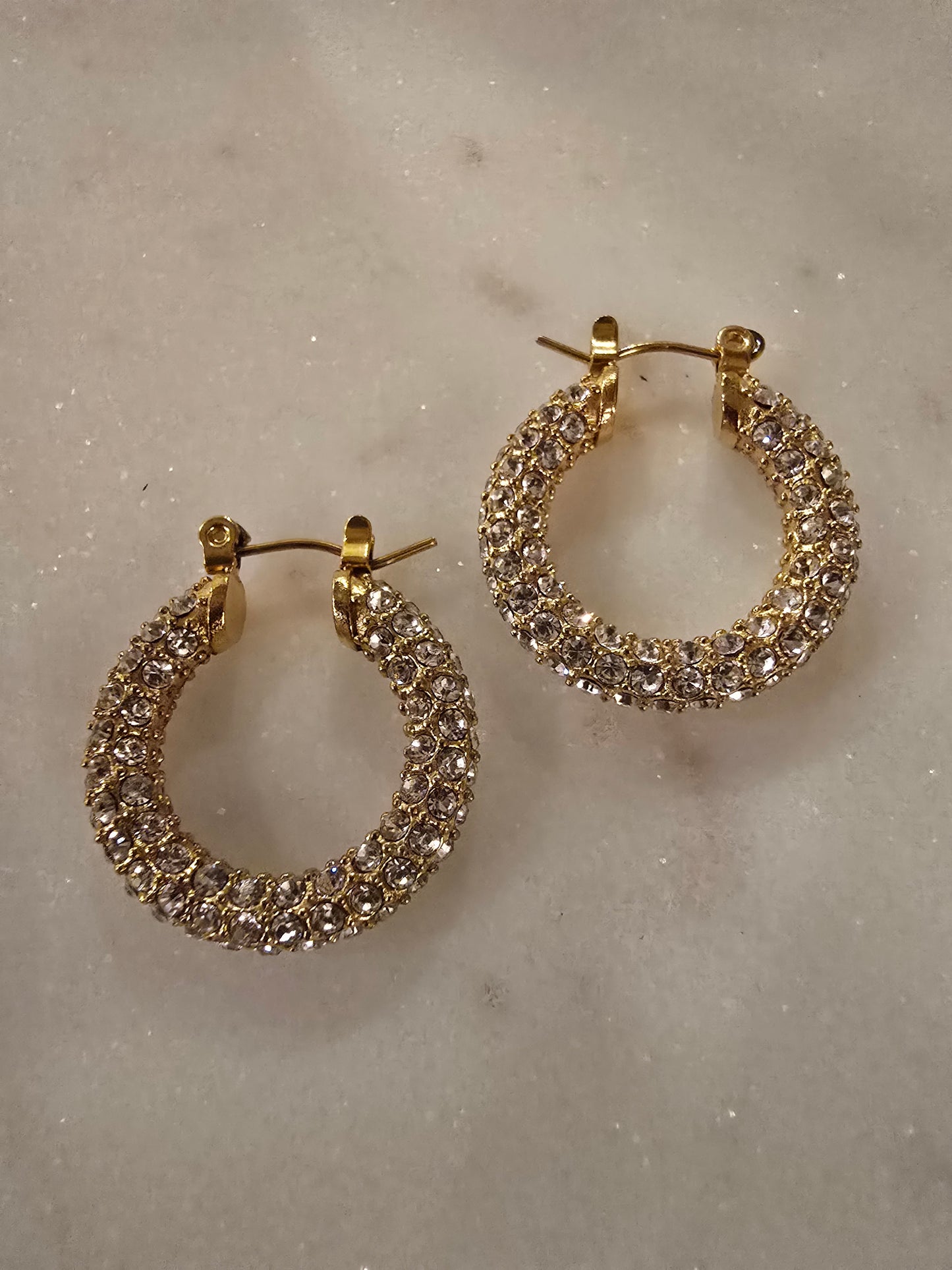 Hoop Sparkly Earrings