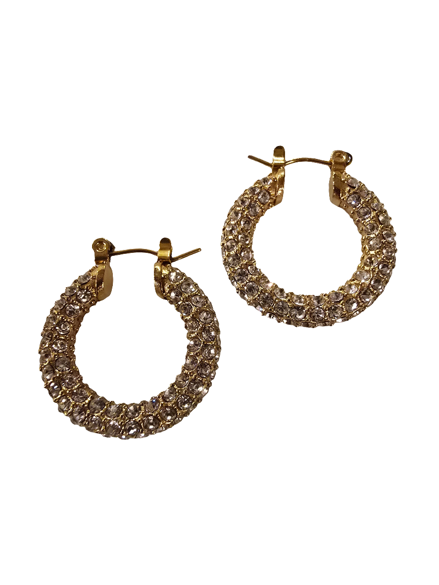 Hoop Sparkly Earrings