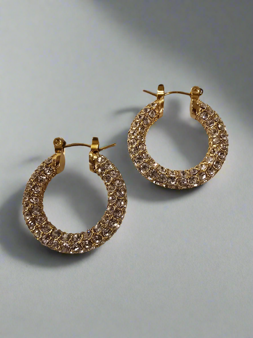 Hoop Sparkly Earrings